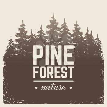 Sketch vintage nature pine and fir tree forest in misty fog cartoon scene vector retro poster with silhouette trees. Tree landscape forest of pine silhouette illustration