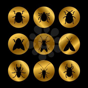 Black insects silhouette form on golden rounds collection. Vector illustration