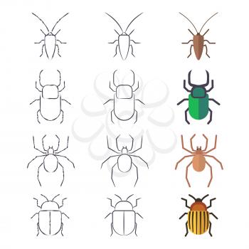 Pencil sketch, line and flat beetles, cockroach and spider. Vector illustration