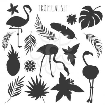 Grey tropical plants and flamingos silhouettes templates. Exotic bird and tropic leaf of palm. Vector illustration