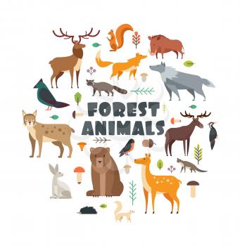 Wild forest animals and birds arranged in circle. Vector cover design. Wild mammal and forest bear, bird, fox illustration
