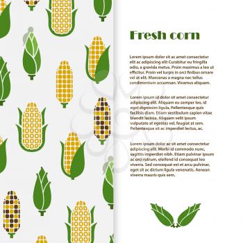 Fresh corn banner or poster template design. Vector harvest flyer illustration