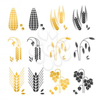 Black and gold cereal grains vector icons. rice, wheat, corn, rye, barley isolated on white background. Agriculture wheat and ear, barley and rye illustration