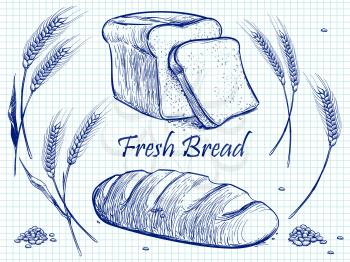 Sketch bunch of wheat ears, bread and grains. Vector bakery illustration on notebook page. Food organic from harvest