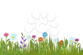 Summer green grass and flowers. Garden plants and field herbs vector background. Illustration of grass and colored flower on lawn