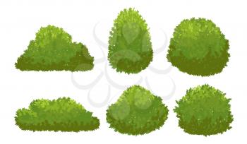 Garden green bushes. Cartoon shrub and bush vector set isolated on white background. Bush nature plant of collection illustration