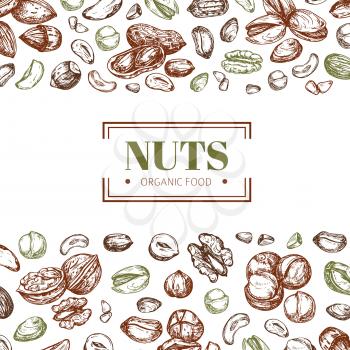 Background with nuts. Cashew and walnut, pistachio and hazelnut organic food vector poster template. Illustration of pistachio and cashew, organic almond and hazelnut