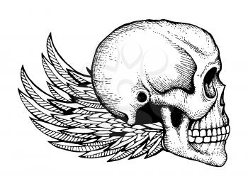 Black and white ink sketched human skull with wings isolated on white background. Vector skull horror and wing illustration