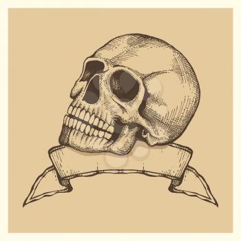 Human skull sketch with ribbon banner - vector vintage style label or poster illustration