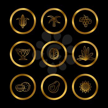 Gold icons of natural oil ingredients. Line eco products icons for food and cosmetics industry. Vector illustration