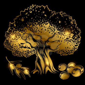 Gold olive tree and olives with shine effect isolated on black. Vector illustration
