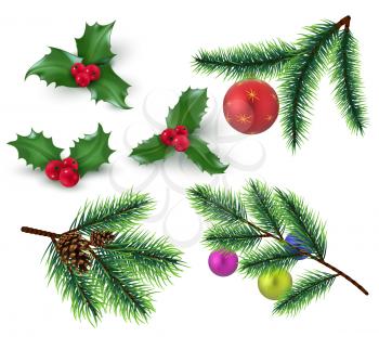 Christmas decoration. Realistic fir tree branches and red berries, holly leaves and christmas bauble. Winter holiday vector elements. Tree christmas branch, holly celebration traditional illustration