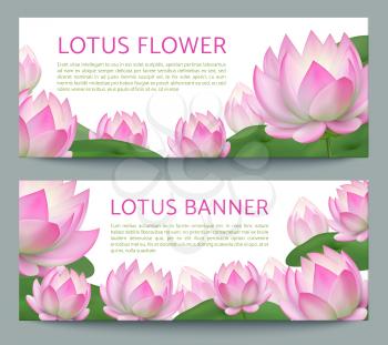 Pink lotus banners. Realistic pond water flower. Ayurveda treatment, healing garden vector banner set with lotuses. Illustration of flower blossom banner, leaf and flora lily