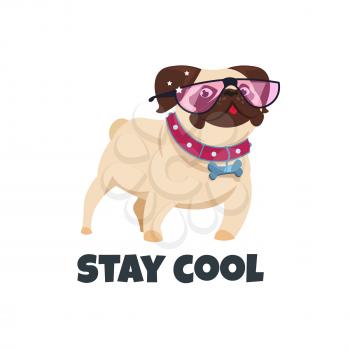 Pug dog with glasses. Funny puppy friend. Cute pug pet. Stay cool vector illustration. Pug animal in pink glasses glamour