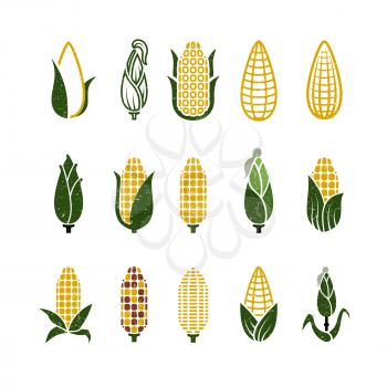 Vintage grunge vector corn icons of set isolated on white background illustration