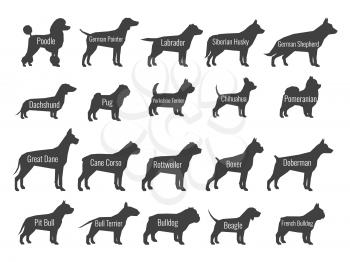 Black dog breeds vector silhouettes isolated on white background. Profile of poodle and labrador, siberian husky and shepherd, dachshund and pug illustration