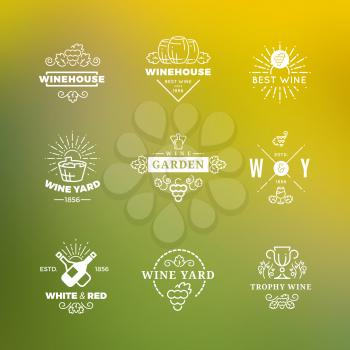 White wine labels vector design isolated on green background illustration