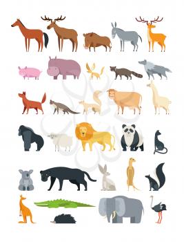 Cute cartoon animals. Forest, savannah and farm animal vector collection isolated on white. Illustration of koala and hippo, kangaroo and raccoon