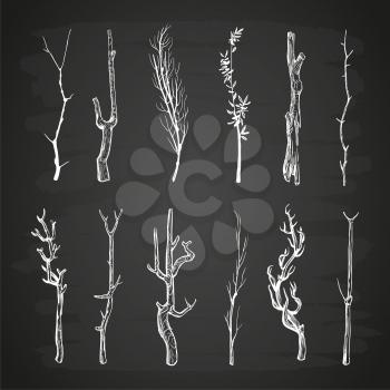 Sketch wood branches set on blackboard. Branch wood tree, nature stick twig. Vector illustration