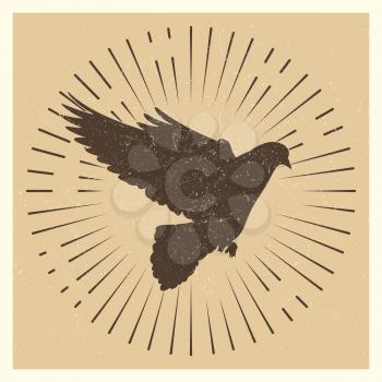Dove silhouette in sun burst. Vintage vector pigeon and star burst logo design illustration
