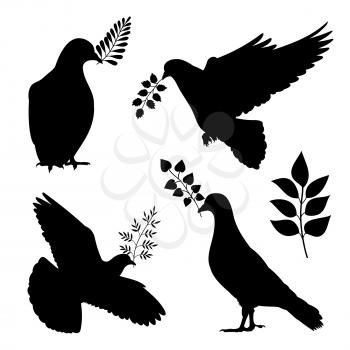 Dove of peace vector silhouetes. Pigeon with branch isolated on white background illustration