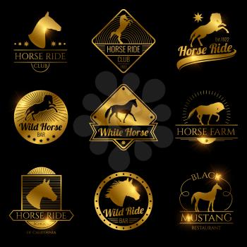 Golden racing horse, running mare vector vintage logos on black background illustration
