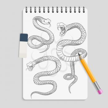 Hand drawn snakes on realisic notebook page with pencil and eraser. Animal serpent tattoo sketch, reptile drawing viper, vector illustration