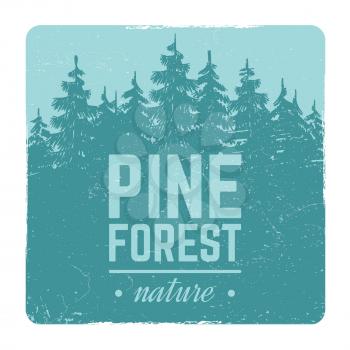 Sketch vintage banner and poster nature pine and fir tree forest vector retro emblem with silhouette trees illustration