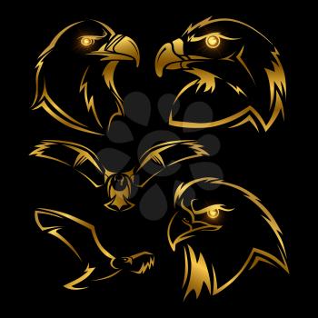 Golden eagle, hawk vector mascots set. Shine eagles vector isolated on black background illustration