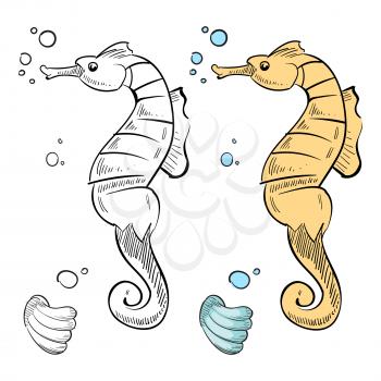 Ocean wild life coloring page. Hand drawn sea horse and shell isolated on white background. Vector illustration