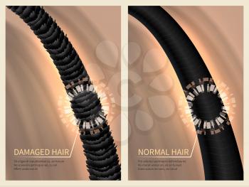 Closeup damaged harsh and normal healthy hair. Vector illustration for haircare concept. Healthy hair and banner care for shampoo
