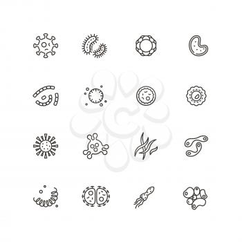 Microbes, virus and pathogen line icons. Bacteriology hygiene and infection outline vector isolated symbols. Bacteria and microbe, cell microscopic bacterium linear illustration