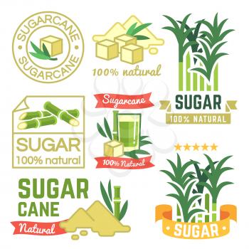Sugar production labels, sugarcane farm badges and emblems vector set. Illustration of cane sugar, sweet harvest plant