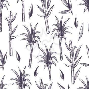 Sugar cane stalks with leaves, sugarcane plant vector seamless pattern. Sugar stalk cane seamless background, sugarcane ingredient illustration