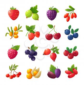 Cartoon berries. Strawberries, raspberries, cherries, gooseberries, blueberries, cranberries vector set isolated on white background. Set of berry food, fruit healthy illustration