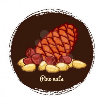Pine cone with nuts. Hand sketched pine nuts badge vector illustration isolated on white background