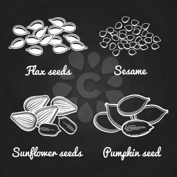 Sesame, pumpkin, sunflower and flax seeds isolated on chalkboard. Vector illutration