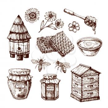 Honey sketch. Bee and honeyed flower, honeycomb and hive. Hand drawn vintage vector isolated set. Honeycomb and honey sketch, bee and flower illustration