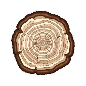 Vector brown tree rings cut trunk isolated over white. Stump section illustration