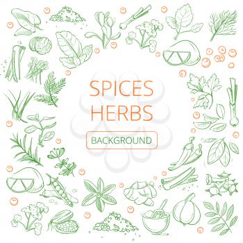 Hand drawn herbs and spices vector healthy natural plants background. Banner with spice aroma, illustration of various spices herb