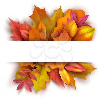 Autumn background with forest fall leaves. October holiday nature vector banner design. Illustration of autumn foliage, plant bright natural elements
