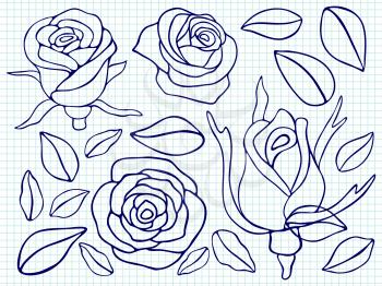 Ballpoint pen drawing roses and leaves on notebook page. Vector illustration