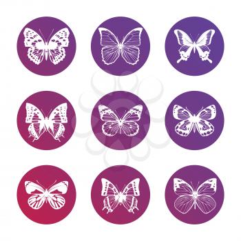 Bright set of icons with white butterflies silhouettes. Vector illustration