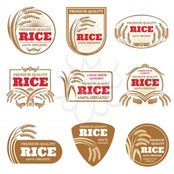 Paddy rice vector labels. Organic natural product emblems. Rice label and emblem, organic farm product illustration