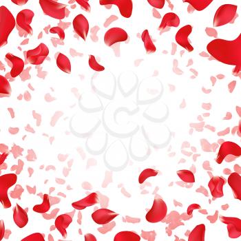 Red rose falling scattered petals wedding vector background. Illustration of red rose petal banner with place for text