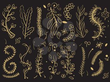 Golden trees and florals branches on black background. Tree branch of plant, floral leaf drawing. Vector illustration