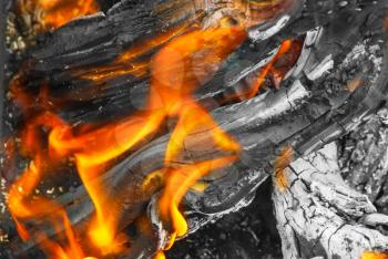 A view into the middle of a wood fire with flames, glowing embers and blackened wood logs with white ashes.