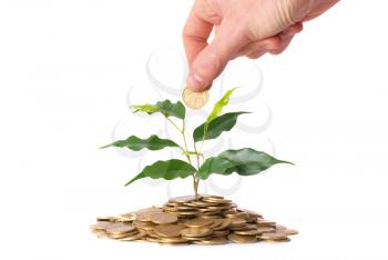 Hand and green plant growing from the coins. Money financial concept.
