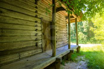 Old wooden house in the green forest