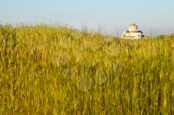 Field of grass and the temple. Antique Chersonesos.